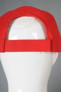 SKBC021 M02 samples made baseball cap twill thickened 5 pieces hat buckle net color baseball cap manufacturer back view
